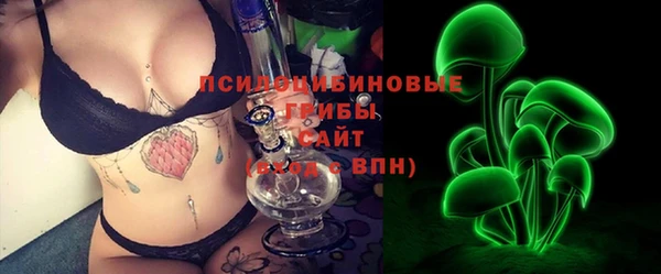 гидра Карпинск