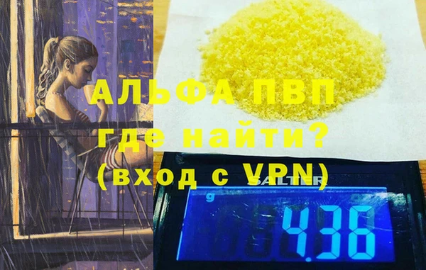 гидра Карпинск