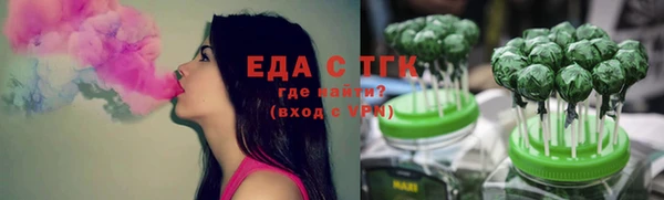 гидра Карпинск