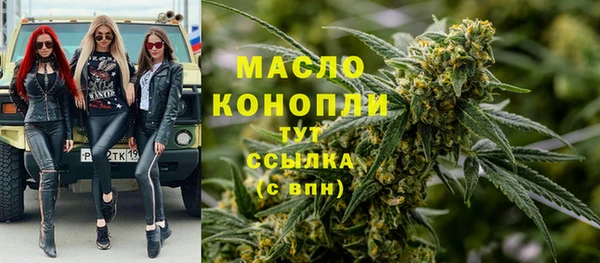 гидра Карпинск