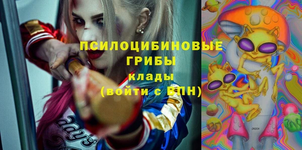 гидра Карпинск