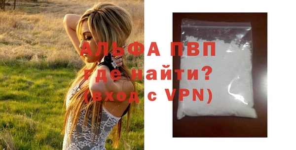 PSILOCYBIN Карталы