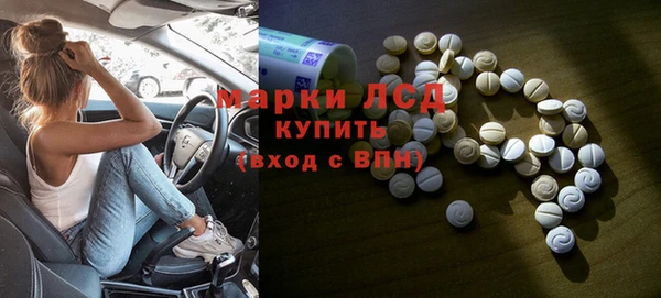 гидра Карпинск