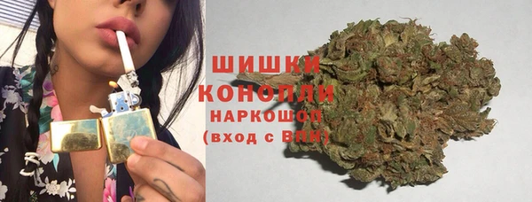 гидра Карпинск