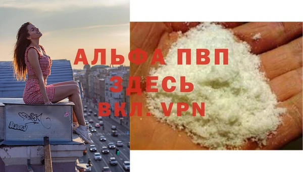 ГАЛЛЮЦИНОГЕННЫЕ ГРИБЫ Коряжма
