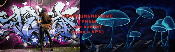 PSILOCYBIN Карталы