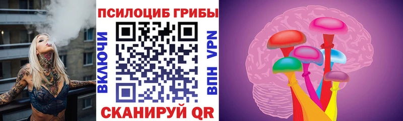 Псилоцибиновые грибы MAGIC MUSHROOMS Купить закладки Новосокольники